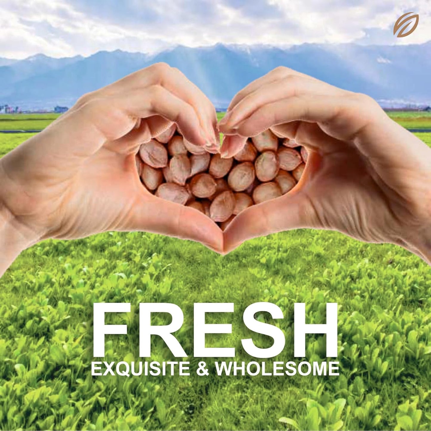 SHREGO Pink Raw Peanut, Vacuum Packed (1 kg) Premium Moongfali