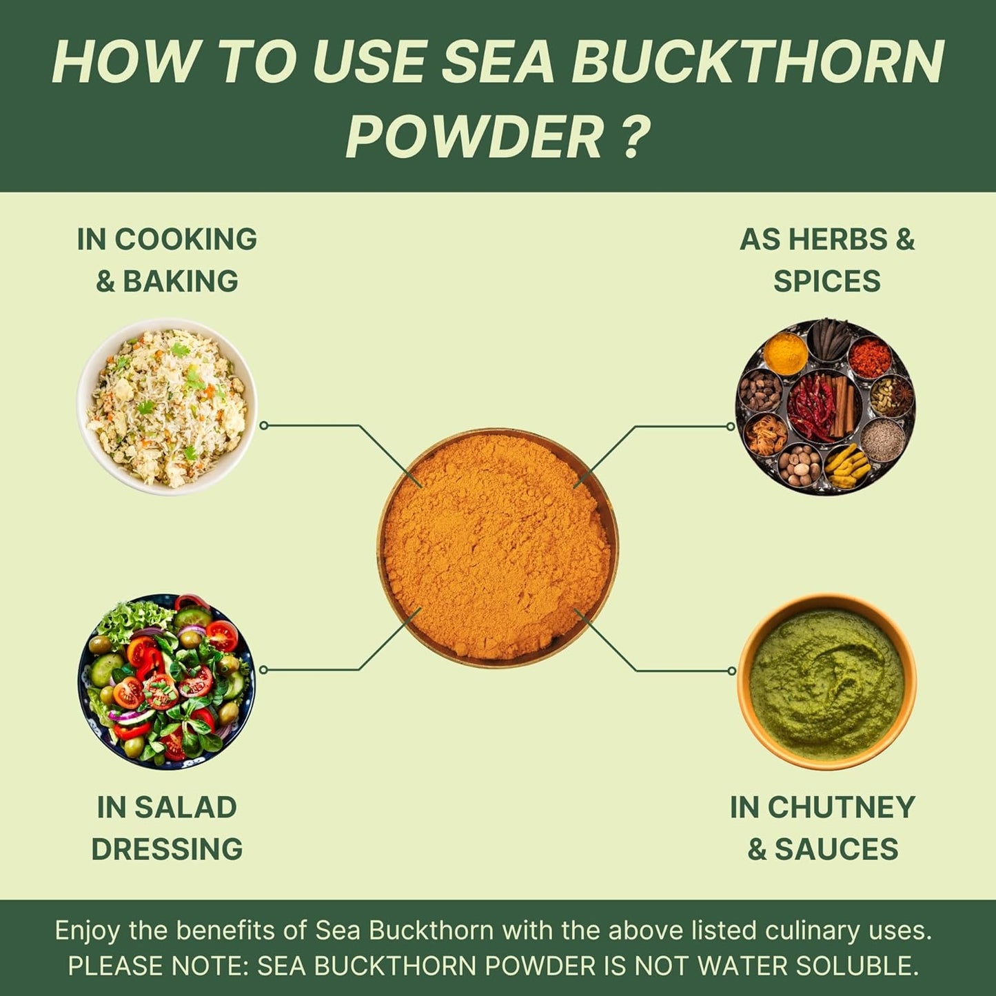 Nutrabud Sea Buckthorn Berry Powder - 100 grams - 100% Pure Sea Buckthorn Powder - Natural Source of Vitamins, Omega-3,6,7,9 & Anti Oxidants (100g (Pack of 1))