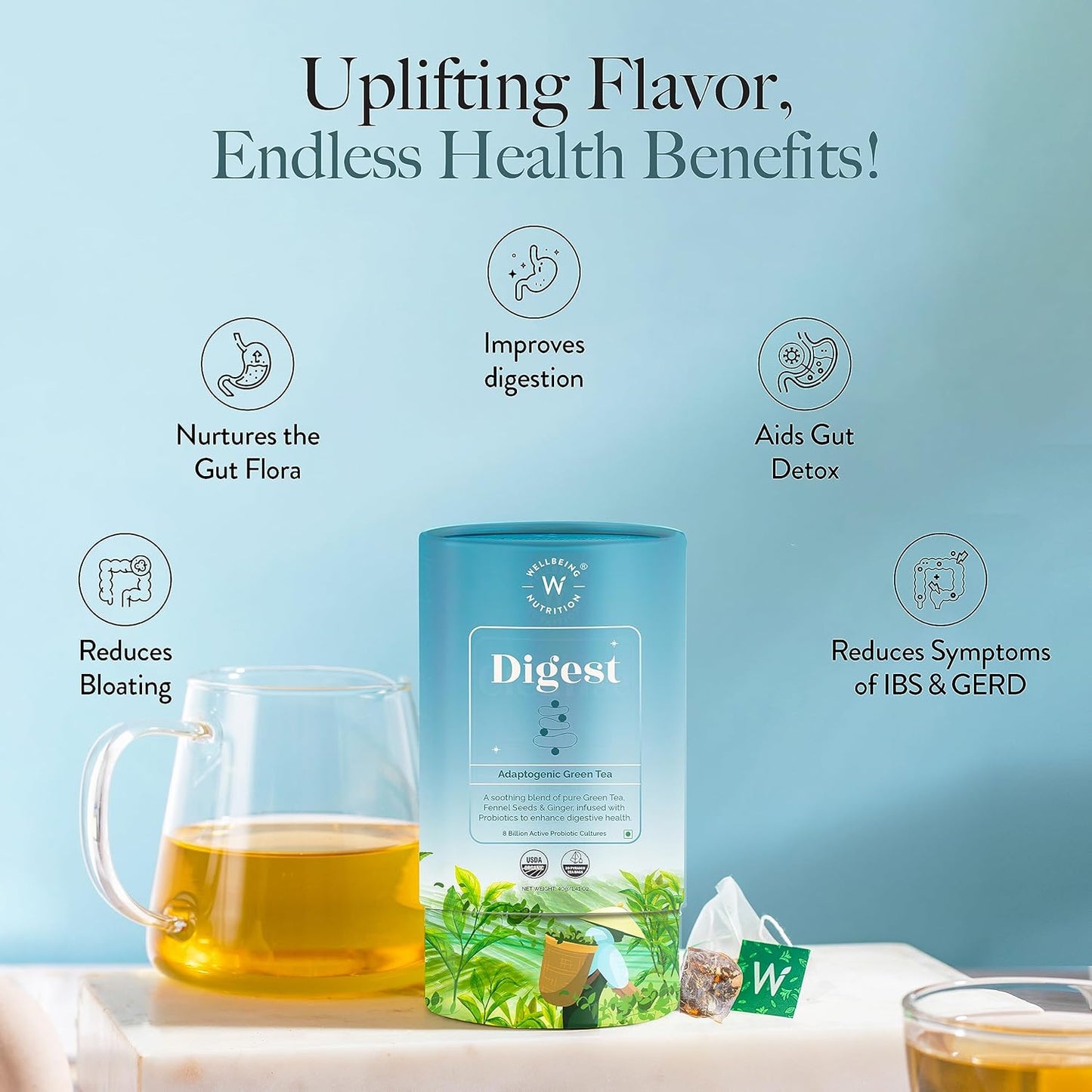 Wellbeing Nutrition Digest Green Tea | Digestive Tea with Probiotics, Digestive Enzymes, 8 Billion CFU & Fennel Seeds for better Digestion, Bloating, Gas and Acidity relief (40 Pyramid Tea Bags)