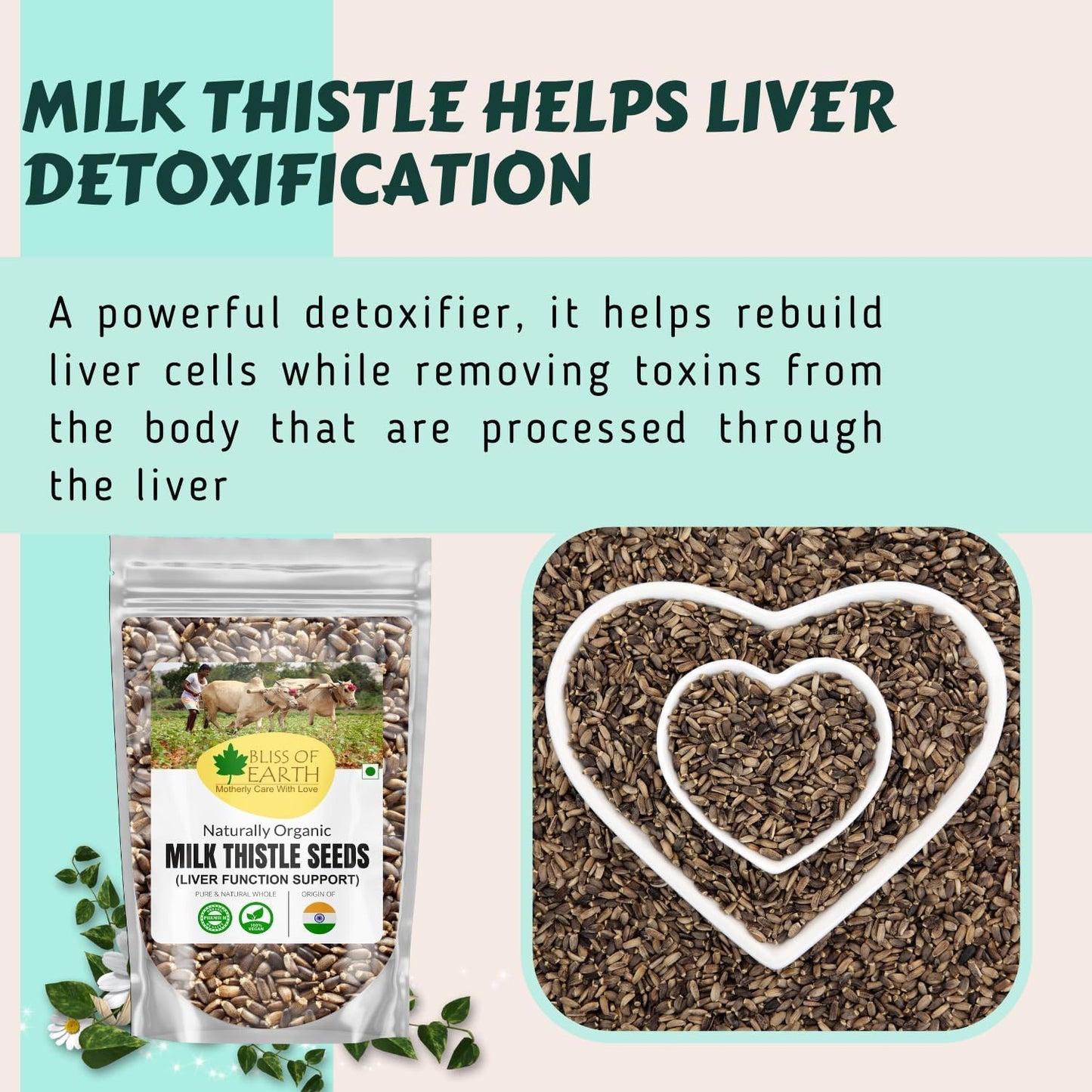 Bliss of Earth Milk Thistle Seeds Organic Super Food Great for Guts Health & Boost Immunity | Promotes Skin Health | High in Protein | 100GM