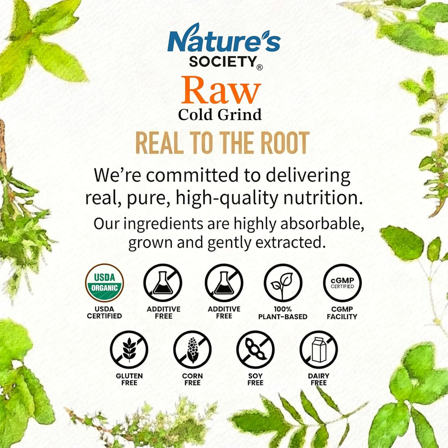 The Nature's Society ยฎ Bhumi Amla Powder Organic 100gm | Raw Cold Grind | USA Organic Certified | Pure Bhoomi Amla Powder for Liver Health, Digestion & Detox | Rich in Nutrients and Antioxidants |