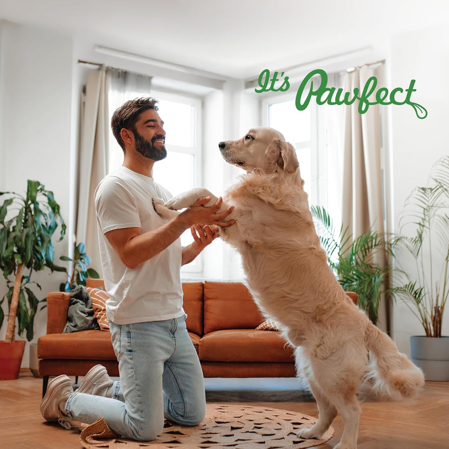 Pawfect Nature's Munch Health & Digestion Dog Treat| For Better Health and Digestion for Dogs| Freeze-Dried bite size| All natural| Grain & Gluten free| Low calorie| Healthy Training Treats(75g/2.7oz)