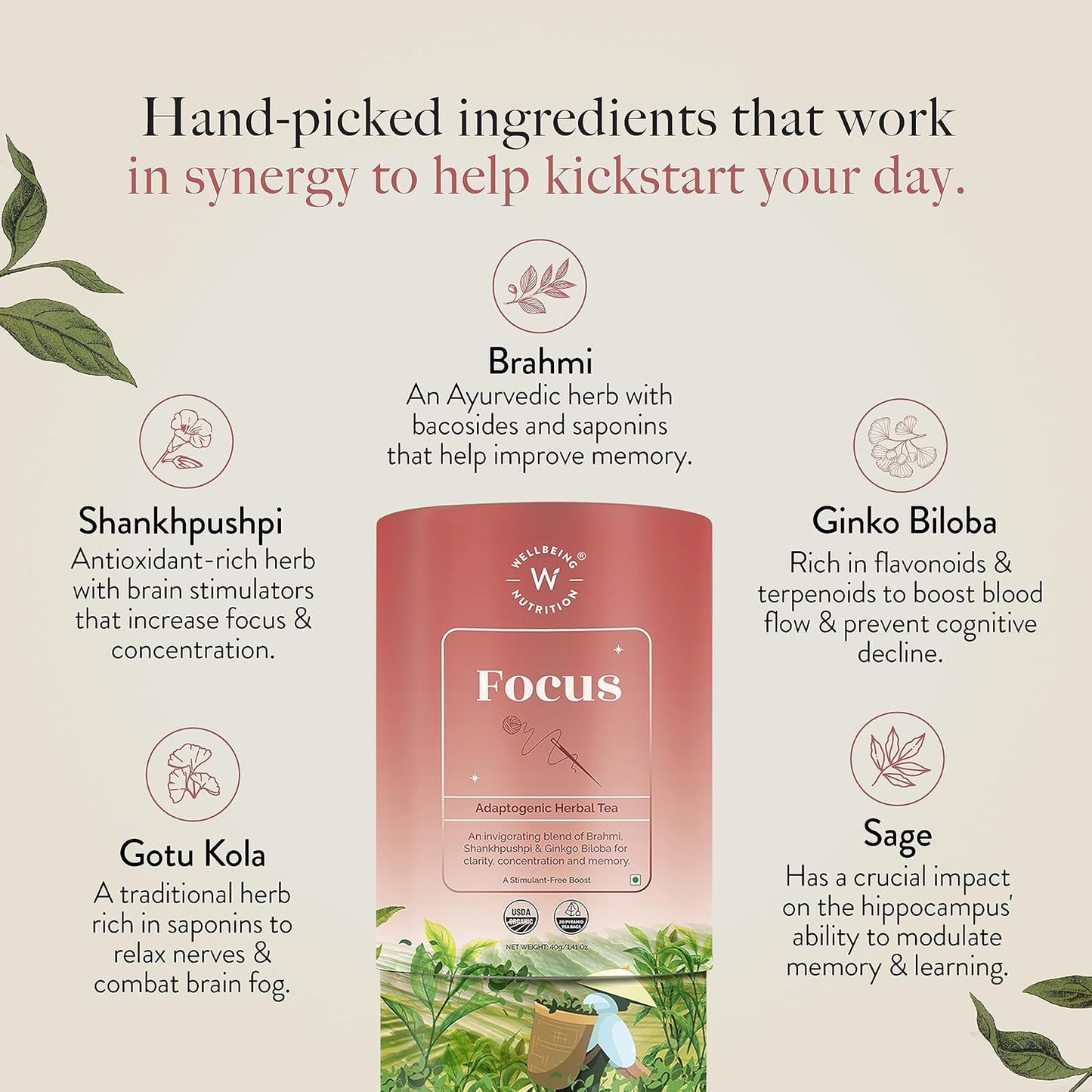 Wellbeing Nutrition Focus Tea | Memory Booster Green Tea for Focus, Concentration & Cognitive Function with Brahmi, Shankhpushpi, Ginkgo Biloba, Gotu Kola (20 Pyramid Tea Bags)