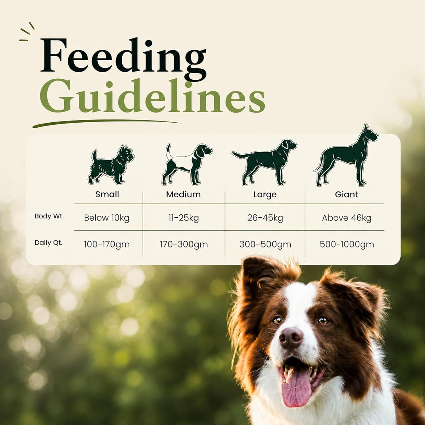 Canine Creek Ultra Premium Adult Dry Dog Food, 1.2 kg Pack
