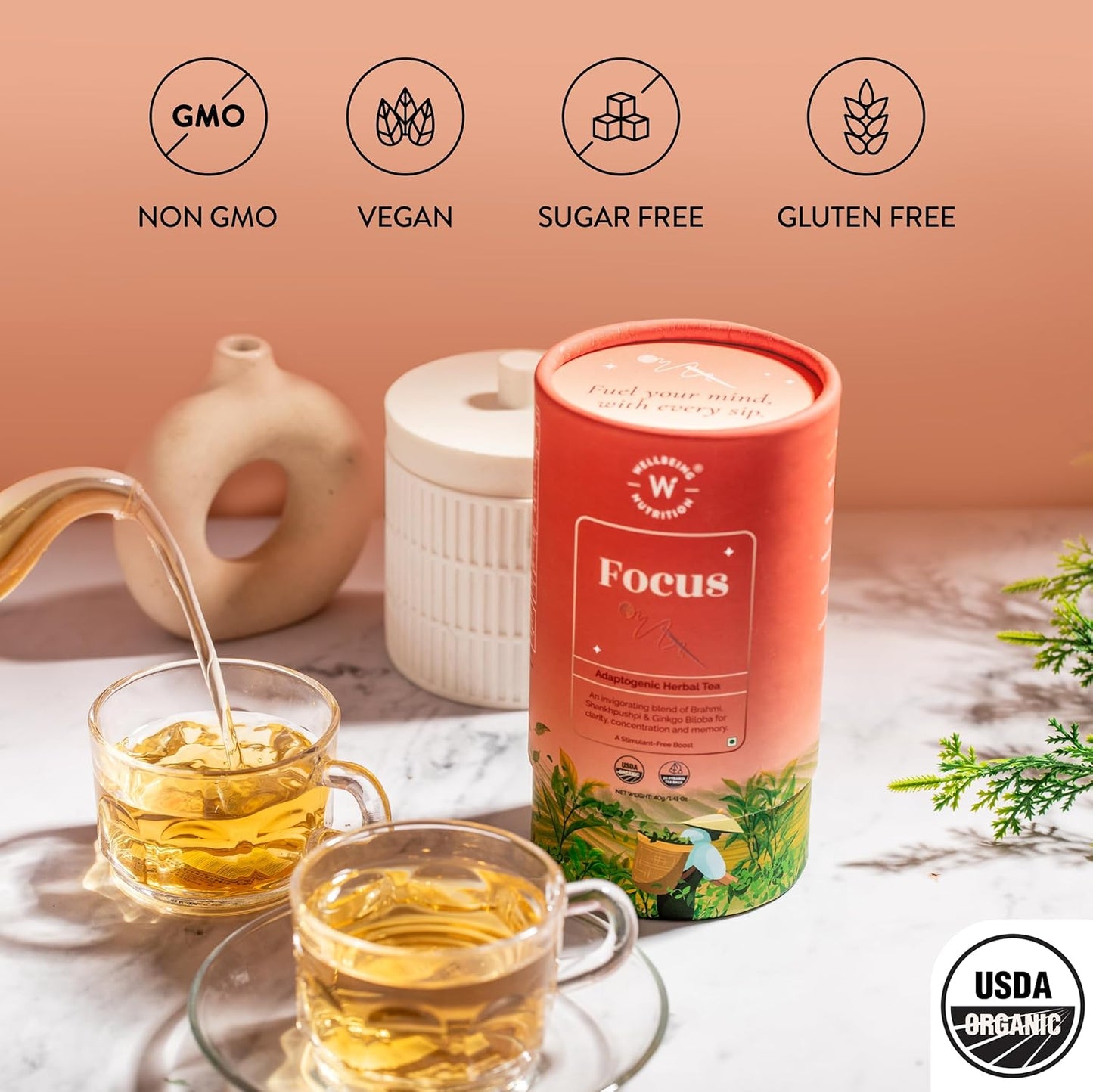 Wellbeing Nutrition Focus Tea | Memory Booster Green Tea for Focus, Concentration & Cognitive Function with Brahmi, Shankhpushpi, Ginkgo Biloba, Gotu Kola (20 Pyramid Tea Bags)