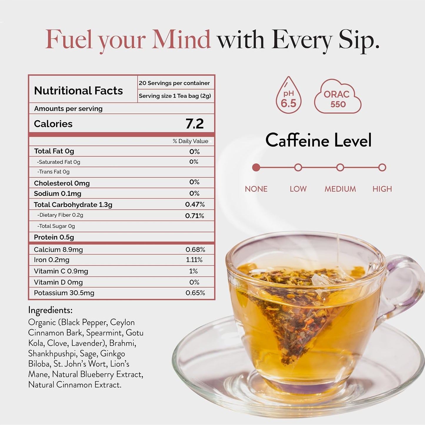 Wellbeing Nutrition Focus Tea | Memory Booster Green Tea for Focus, Concentration & Cognitive Function with Brahmi, Shankhpushpi, Ginkgo Biloba, Gotu Kola (20 Pyramid Tea Bags)