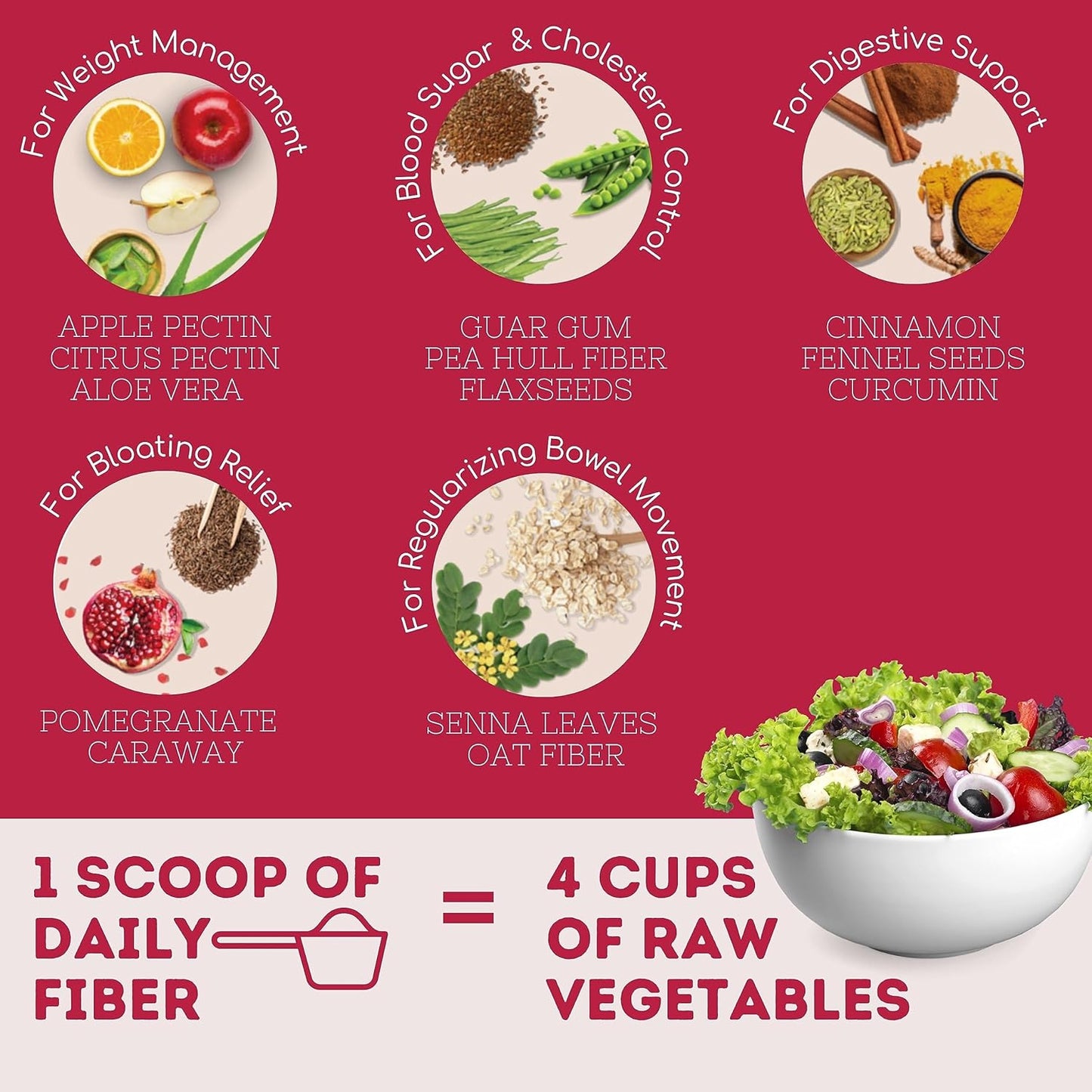 Zephivo Wellbeing Nutrition Daily Fiber Powder | Weight Management, Manages Sugar Control, Bloating, Constipation & Acidity Relief | Organic Prebiotic Digestive Fiber Supplement | 30 Servings
