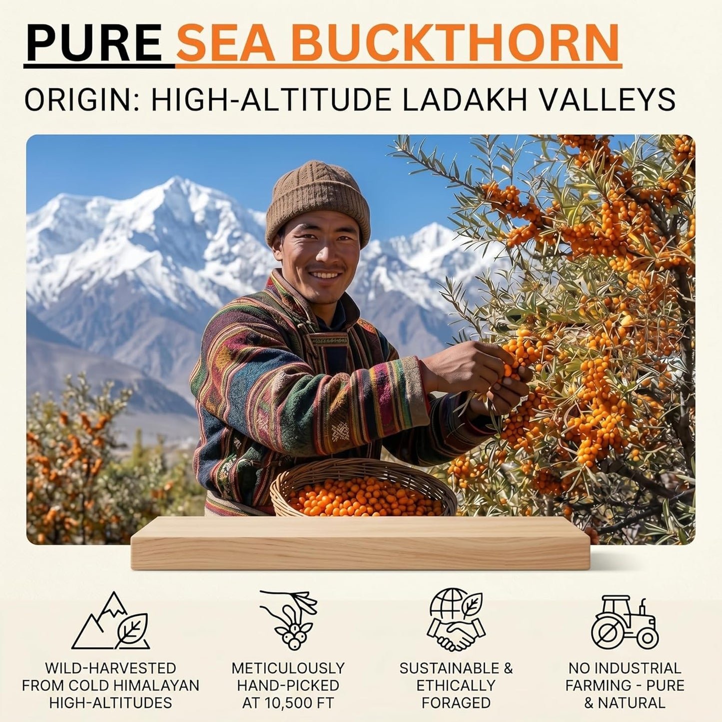Simply Earth Sea Buckthorn Pulp Liquid Concentrate, Natural Fruit Juice | Omega 3-6-7-9 & Vitamin C, for Immunity, Skin & Heart Health - 300ML (Pack of 1)