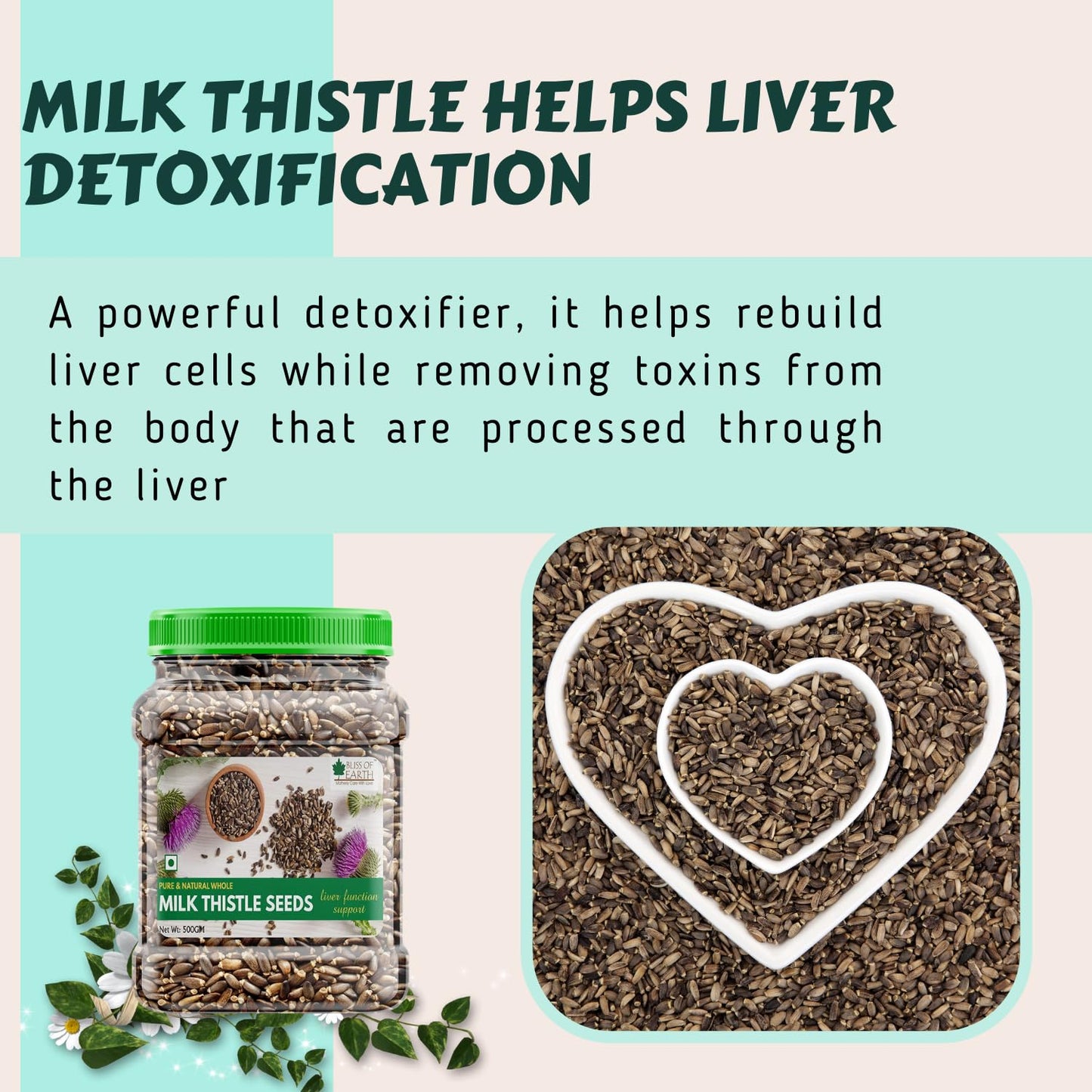 Bliss of Earth 500gm Milk Thistle Seeds Organic Super Food Great for Guts Health & Boost Immunity (Pack of 1)