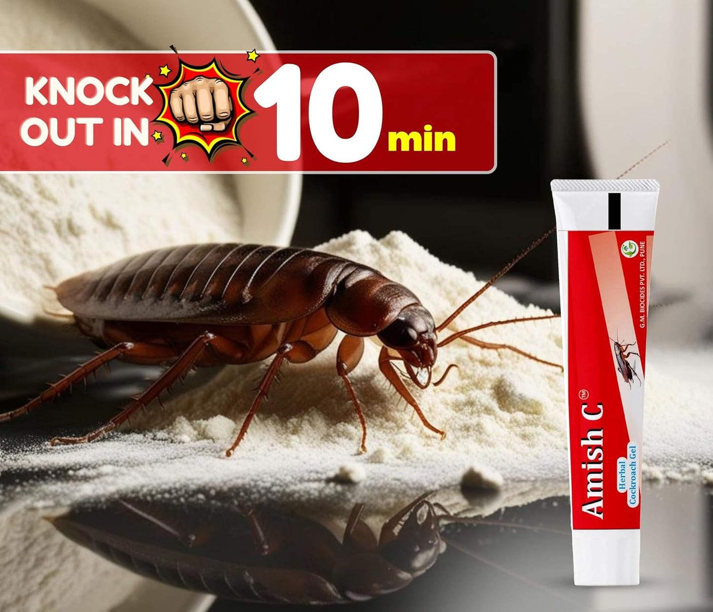 Amish C Cockroach Herbal Gel 20g Pack Of 2 For Home Cockroach | Fast Results For Home For Kitchen For Office Convenient/Natural & 100% Effective