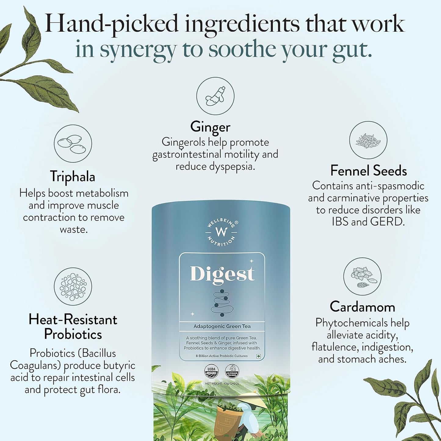 Wellbeing Nutrition Digest Green Tea | Digestive Tea with Probiotics, Digestive Enzymes, 8 Billion CFU & Fennel Seeds for better Digestion, Bloating, Gas and Acidity relief (40 Pyramid Tea Bags)