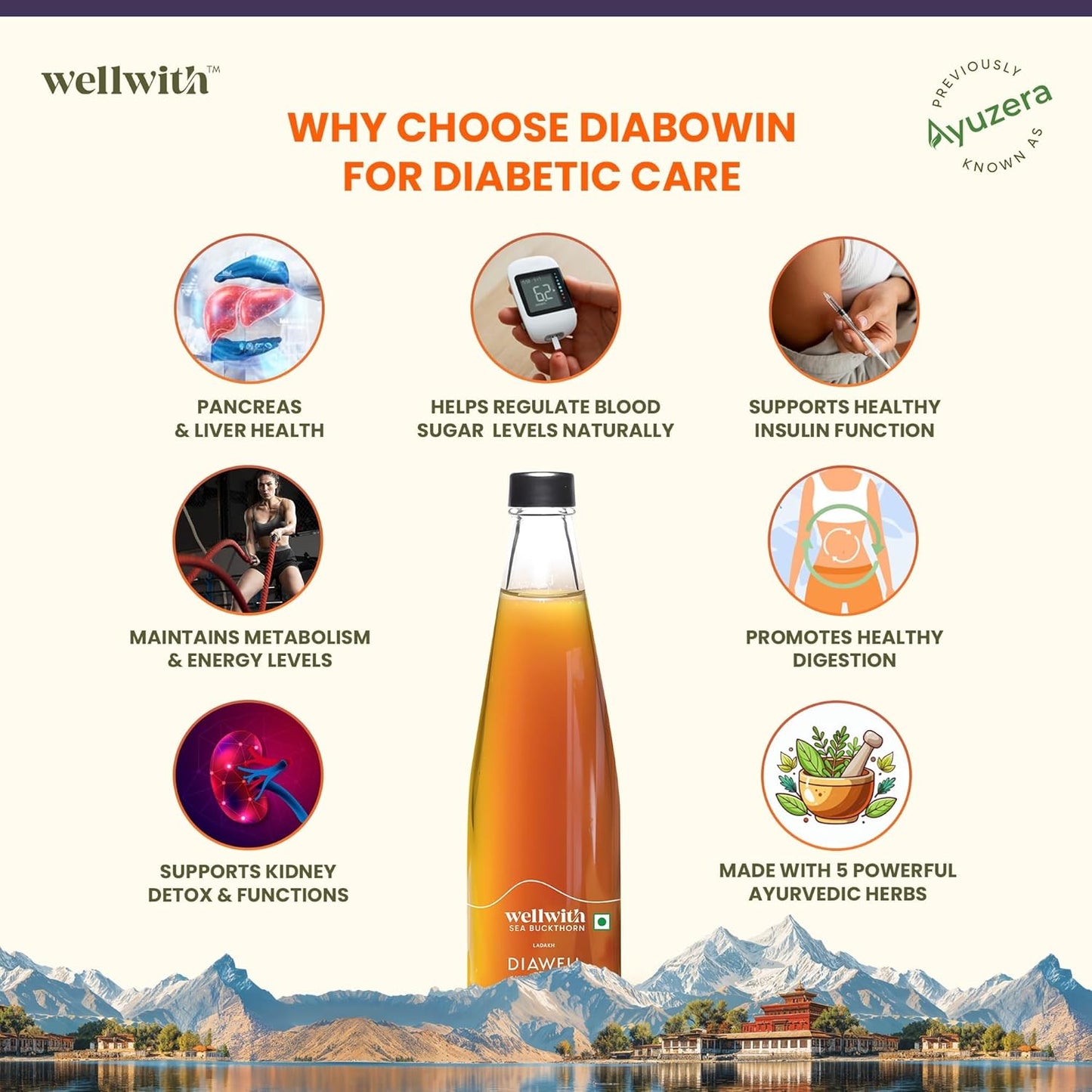 Wellwith (Ayuzera) DiaboWin (Diawell) Seabuckthorn Pulp With Karela & Jamun Diabetic Care Juice 300ml | Chirata and Punarnava | Ayurvedic | Makes Upto 50 Glass Juice (300ml, Pack of 1)