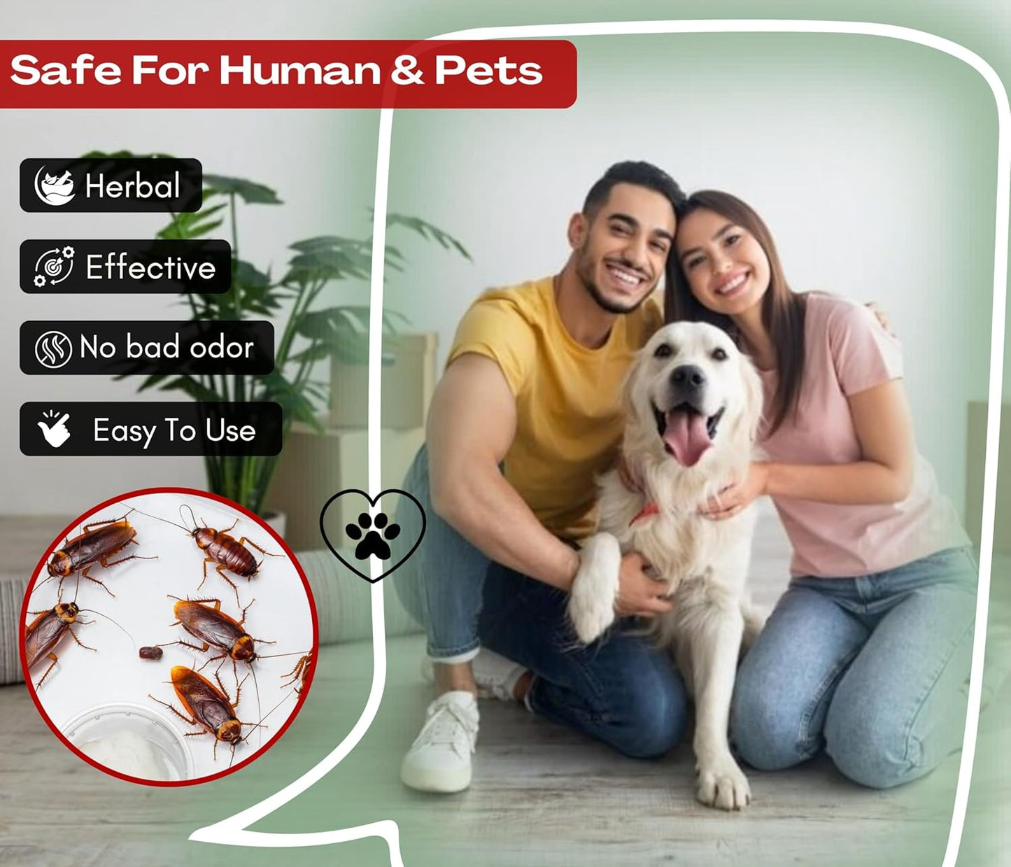 Amish C Cockroach Herbal Gel 20g Pack Of 2 For Home Cockroach | Fast Results For Home For Kitchen For Office Convenient/Natural & 100% Effective