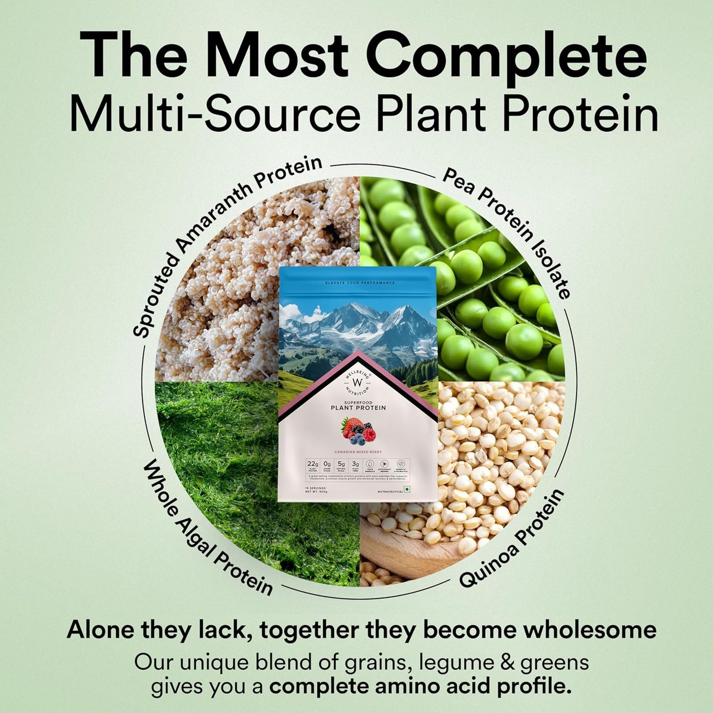 Wellbeing Nutrition Organic Vegan Plant Protein Isolate Powder | 22g Protein, 5g BCAA