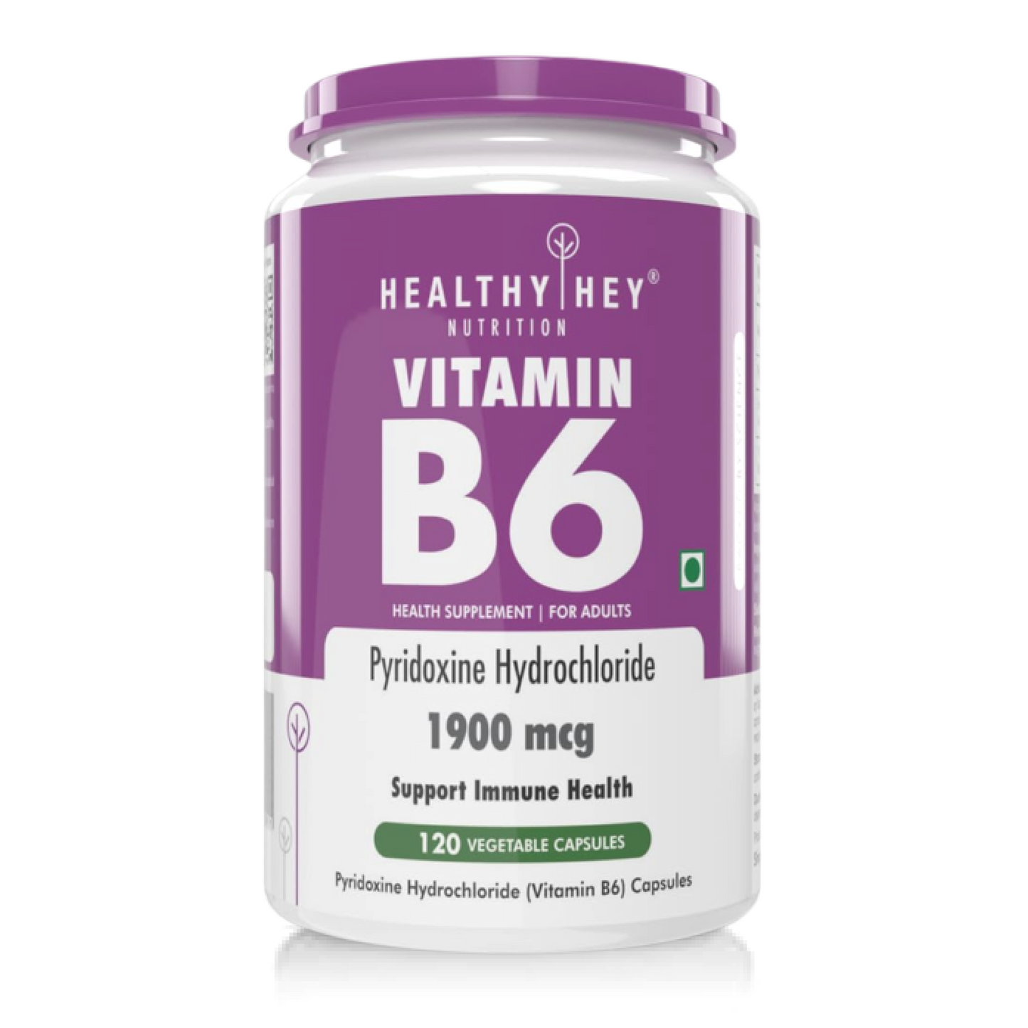 Zephivo HealthyHey Nutrition Vitamin B6 Pyridoxine -120 Veg. Capsules