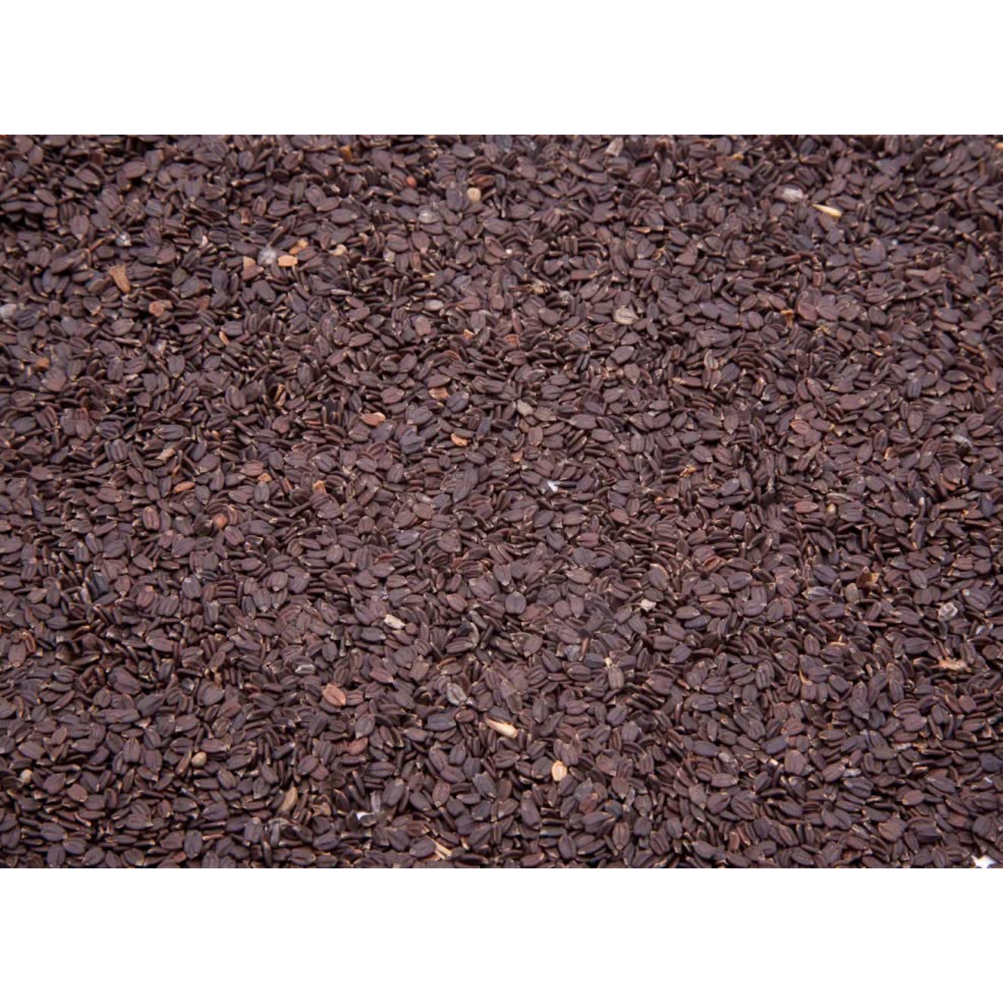 mymillets Mahabeera Seeds 450 g | Pure & Natural | Supports Joint & Bone Health | Rich in Nutrients | Vana Tulasi | Pignut Seeds | Talmakhana | Carya Glabra
