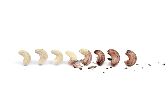 farm2nut Premium Borma Cashews/Skin Cashew Nuts Natural Unpeeled Whole Kaju Packed in Reusable Jar. Goa cashew nuts