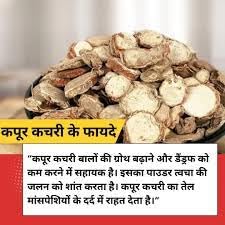 Namo Organics - kapoor kachri for hair growth - 100gm - Dried kapur kachri - Nature & Pure | Direct From farmers