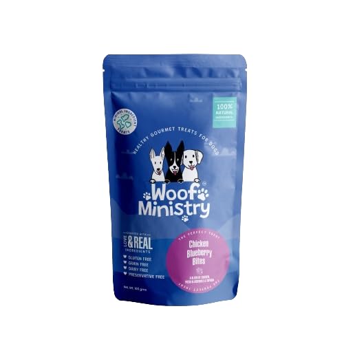 Woof Ministry Chicken Blueberry Bites for Dogs, Minimal Ingredient Dehydrated Dog Treats (Non Veg Treats -100 Grams)