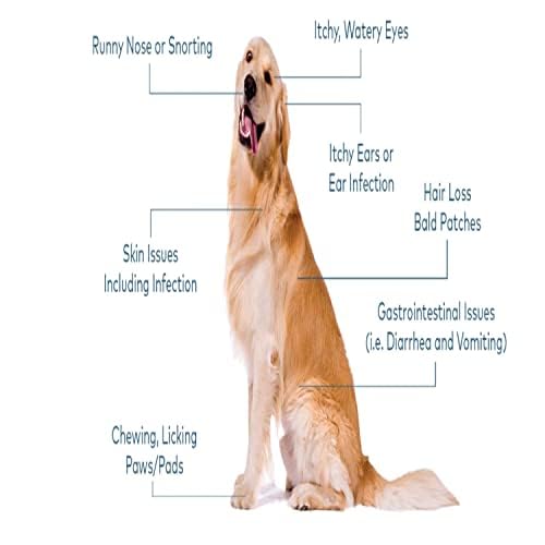 Bio PetActive Biodermdog Biotin and Zinc Tablet for Dogs 0,5 g 75 Tablets Helps in Support Gut Health & Maintain Healthy Skin Condition