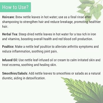 Text detailing various uses of nettle leaves with images of nettle leaves.