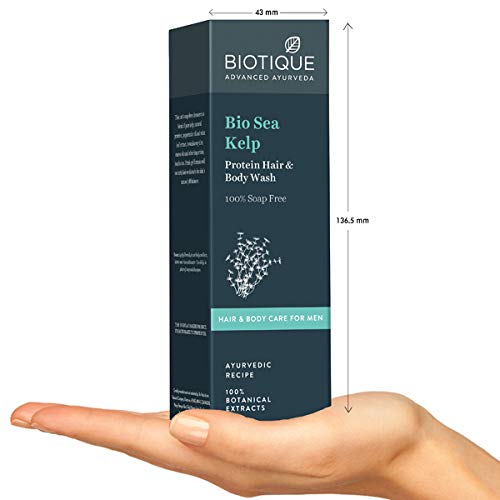 Biotique Bio Sea Kelp Protein Hair & Body Wash box held in a hand with dimensions indicated.