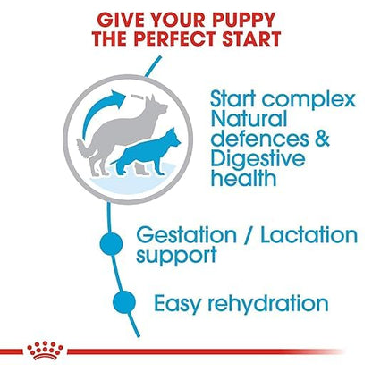 Royal Canin Maxi Starter, Mother & Babydog Food, 1 Kg, Dry Food, Supports Complex Natural Defence & digestive health, Provides Gestation/Lactation Support, Supports Easy rehydration