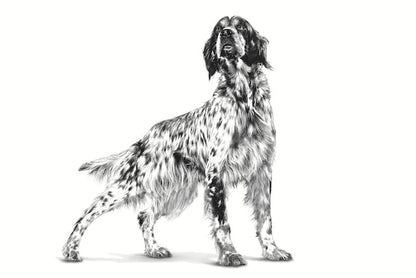 Royal Canin Satiety Weight Management (V-Diet), 1.5 kg Dry Adult Dog Food