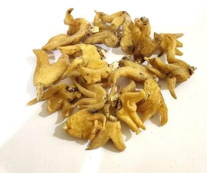 Dried mushrooms on a white background