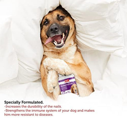 Bio PetActive Biodermdog Biotin and Zinc Tablet for Dogs 0,5 g 75 Tablets Helps in Support Gut Health & Maintain Healthy Skin Condition