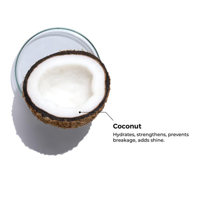 Brillare Pure Coconut Oil, Organic and Cold Pressed Hair Oil with Zero Chemicals, Rich in Vitamins & Amino Acids, Best for Dry & Flaky Skin