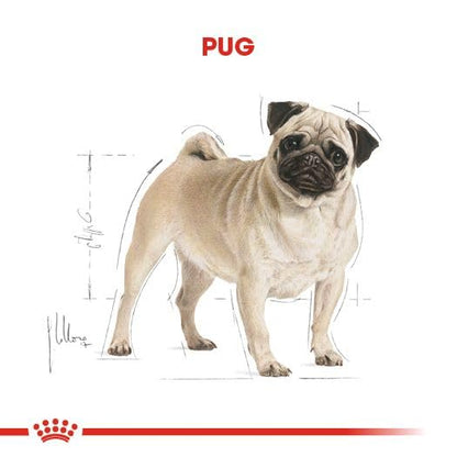 Royal Canin Pug Adult Dog Food, Dry Food, Supports Healthy Skin & Ideal Weight, Helps to Tone Muscles, , 1.5 Kg