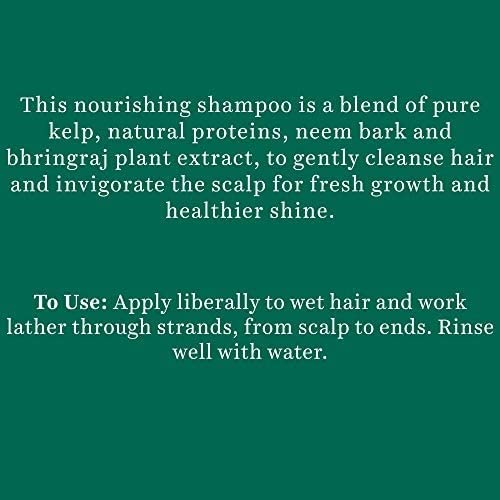 Text description of a nourishing shampoo blend with natural ingredients on a green background