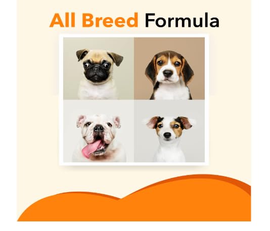 Drools Absolute Salmon Oil Syrup - Dog Supplement, 150 ml