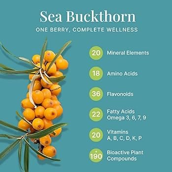 Namo Organics - 500g Himalayan Sea buckthorn Dry Berry – Natural, Sun-Dried, Rich in Omega 3,6,7 and 9, & Vitamin C, E | Dried Seabuckthorn Berries | No Added Sugar or Preservatives