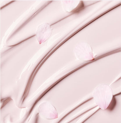 Innisfree Jeju Cherry Blossom Tone Up Tinted Cream 50ml with Niacinamide | Korean Beauty Cream for Dewy & Glowy Finish | Brightening, Moisturizing, Radiant Skin, Hydrating, Korean Skincare