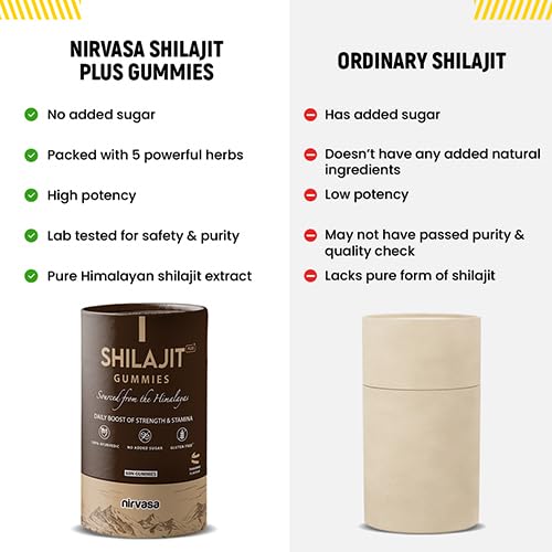 Nirvasa Shilajit/Shilajeet Plus Gummies (2x60 Gummy) | Sugar-Free Energy, Stamina & Endurance Booster | Supports Strength, Immunity & Muscle Recovery | With Fulvic Acid & Essential Nutrients
