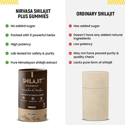 Nirvasa Shilajit/Shilajeet Plus Gummies (2x60 Gummy) | Sugar-Free Energy, Stamina & Endurance Booster | Supports Strength, Immunity & Muscle Recovery | With Fulvic Acid & Essential Nutrients