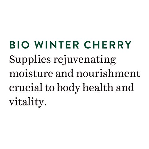 Biotique Winter Cherry Rejuvenating Body Lotion | Moisturizes and Hydrates the Skin | Prevents Ageing, Wrinkles and Dark Spots| 100% Botanical Extracts| Suitable for All Skin Types | 190ml