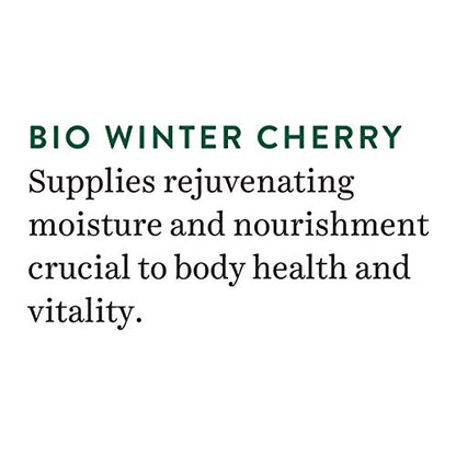 Biotique Winter Cherry Rejuvenating Body Lotion | Moisturizes and Hydrates the Skin | Prevents Ageing, Wrinkles and Dark Spots| 100% Botanical Extracts| Suitable for All Skin Types | 190ml