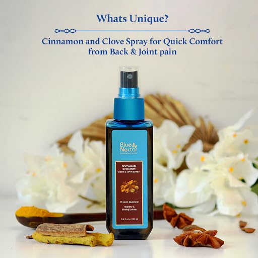 Blue Nectar Pain Relief Spray with Clove & Cinnamon | Ayurvedic Formula for Quick Relief from Back Pain, Knee Pain, Leg Pain & Sports Injuries (17 Herbs, 100ml)