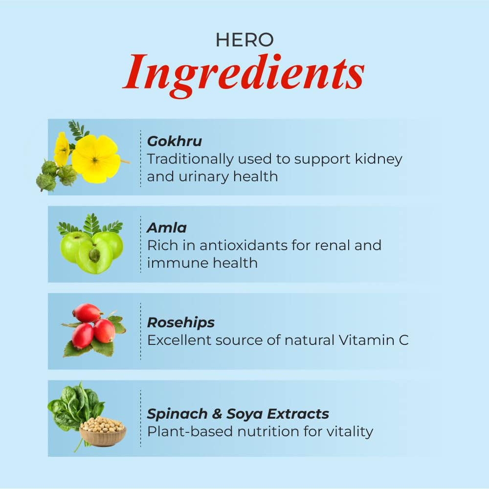 Patanjali Nutrela Renal Health | Whey Protein Supplement for Kidney Support – 400g