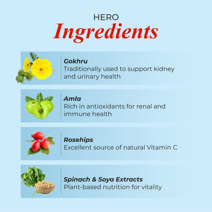 Patanjali Nutrela Renal Health | Whey Protein Supplement for Kidney Support – 400g