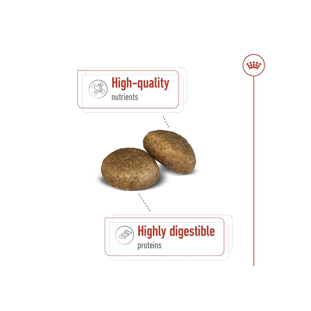 Royal Canin Maxi Adult Dog Food, Dry Food, Supports Digestive Health & Optimal Health, Provides Bone & Joint Support, 1 Kg