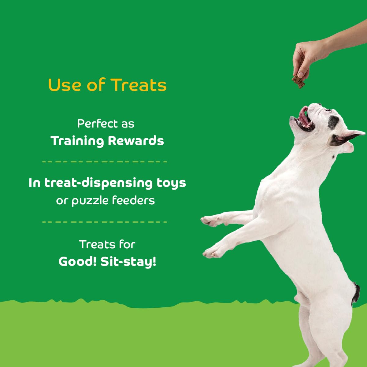 Applod Pumpkin with Turmeric Dog Biscuits for Puppies & Adult Dogs | Oven-Baked Crunchy Dog Treats Made with Real Ingredients | Healthy Training & Reward Snacks | 420g
