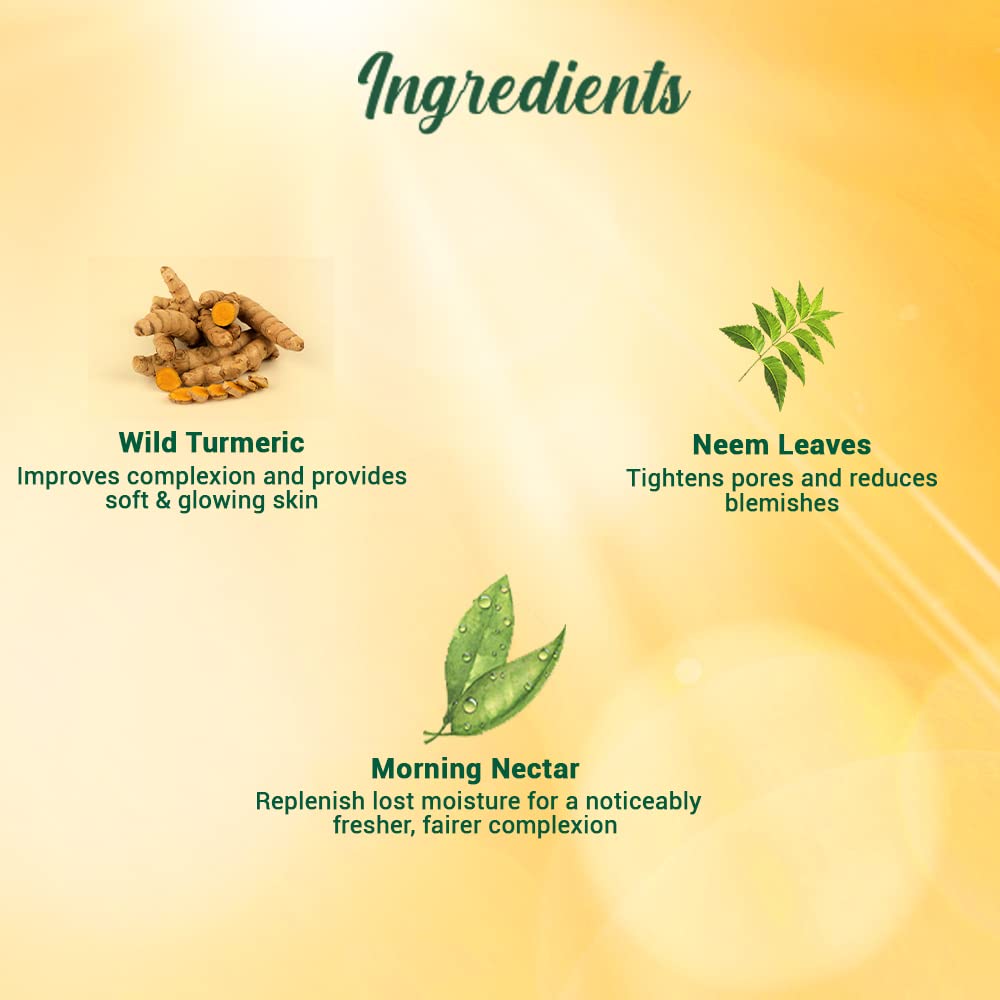 Product ingredients list with Wild Turmeric, Neem Leaves, and Morning Nectar on a gradient background.