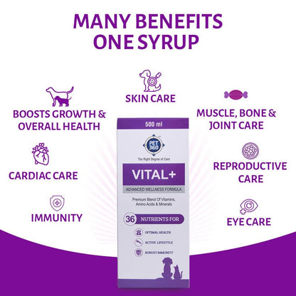 PET360 Vital+ Advanced Wellness Formula | Daily Multivitamin Syrup | Healthy Skin, Joints, Immunity & Growth | Nutritional Supplement for Dogs & Cats- 500 ml