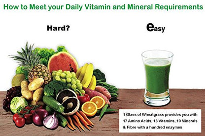Go Organic Wheat Grass Powder Greens, Detox, Immune Support, Alkalize, whole leaf powder, vitamin K, Gluten Free, GMO Free, Kosher, wheatgrass 150g