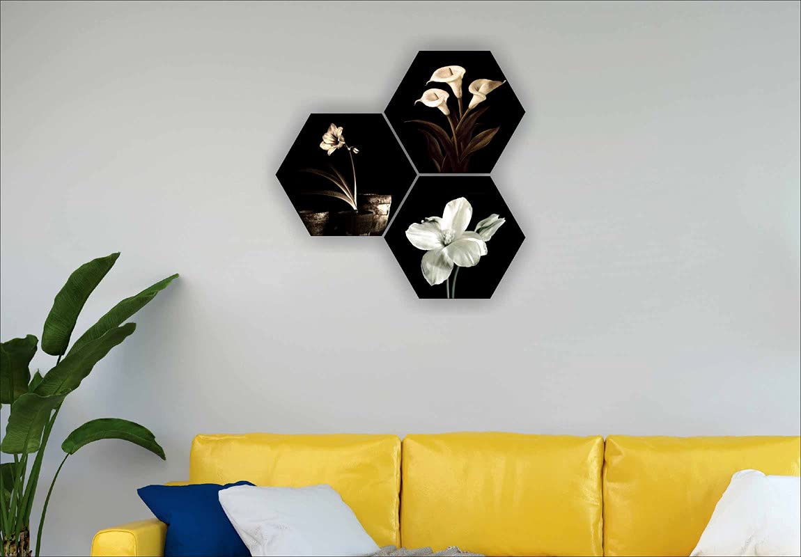 Flower Pot UV Textured MDF Set of 3 Hexagon Painting 17 Inch X 17 Inch HX131