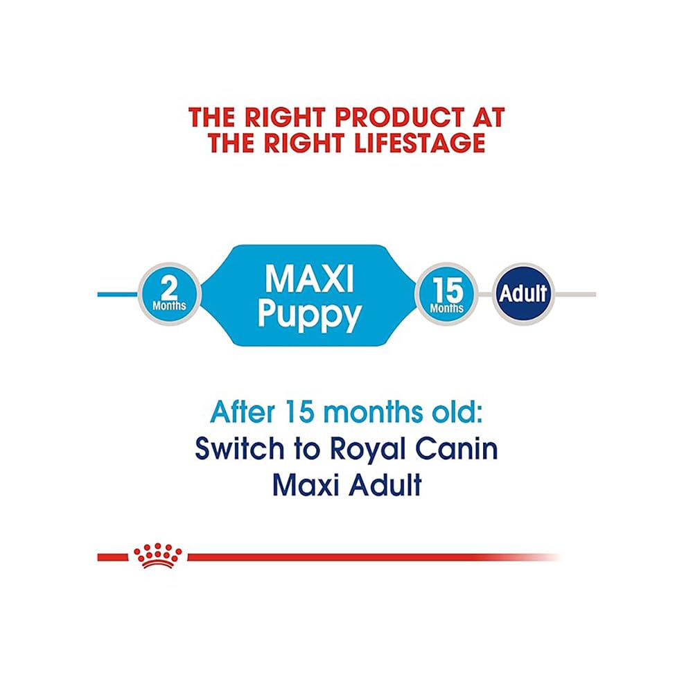 Royal Canin Maxi Puppy, Dry Food, 220 g | Supports Immunity And Digestive Health, With Long Growth And Moderate Energy